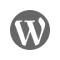 WordPress Website Design-Icon